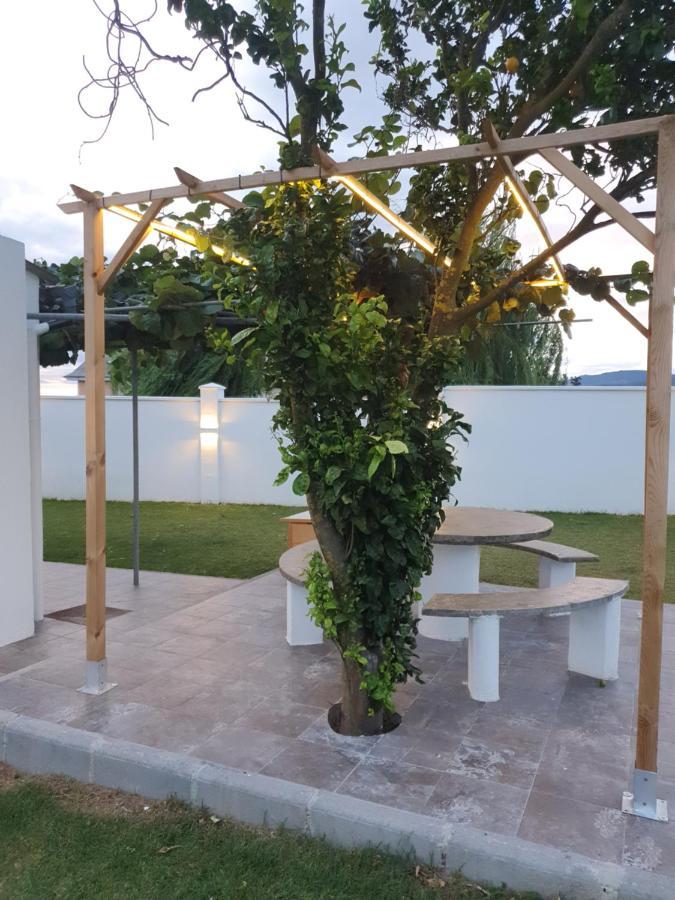 Casa Flor Delfin Ribadeo Villa Kültér fotó